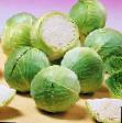Cabbage varieties Kaunter F1 Photo and characteristics