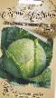 Cabbage varieties Ehrvi F1 Photo and characteristics