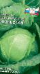 Belo zelje sort Iyunskaya fotografija in značilnosti