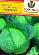 Cabbage varieties Agenor F1  Photo and characteristics