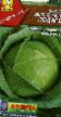 Cabbage  Podarok grade Photo
