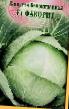 Cabbage varieties Favorit F1  Photo and characteristics