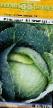 Λάχανο ποικιλίες Kalorama F1 φωτογραφία και χαρακτηριστικά