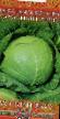Cabbage  Sakharnyjj khrust grade Photo