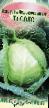 Cabbage varieties Solo F1 Photo and characteristics