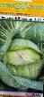 Cabbage varieties Chessma F1 Photo and characteristics