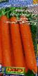 Carrot varieties Niagara F1 Photo and characteristics