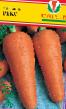 Zanahoria  Rojjal Reks variedad Foto