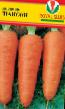 Carrot varieties Shanson Photo and characteristics