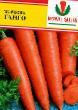 Carrot varieties Tango Photo and characteristics