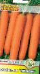 La carota  Minikor la cultivar foto