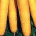 Zanahoria variedades Gyulchatajj Foto y características
