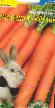 une carotte les espèces Milashka krolik Photo et les caractéristiques