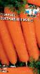 La carota  Vitaminnaya 6 la cultivar foto