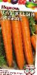 Porkkana lajit Oranzhevyjj druzhok kuva ja ominaisuudet