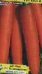 Мрква (Шаргарепа) разреди (сорте) Длинная красная без сердцевины фотографија и карактеристике