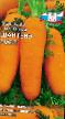 une carotte  Shanteneh royal l'espèce Photo