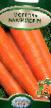 La carota  Baltimor F1 la cultivar foto