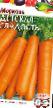 Zanahoria  Detskaya sladost variedad Foto