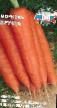 une carotte  Khrusta l'espèce Photo