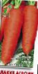 une carotte  Flakke Agroni  l'espèce Photo