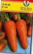 Zanahoria  Reks variedad Foto