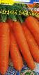 Porkkana lajit Sladkaya vitaminka kuva ja ominaisuudet