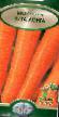 une carotte  Vita Longa l'espèce Photo