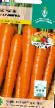 Carrot varieties Khavroshechka Photo and characteristics