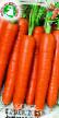 Carrot varieties Napoli F1 Photo and characteristics