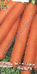 Carrot varieties Nante Photo and characteristics