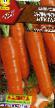Carrot varieties Zimnijj nektar Photo and characteristics