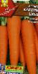 une carotte  Karotin Super l'espèce Photo