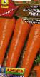 Морковь  Красный гигант сорт Фото