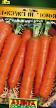 Морковь  Лакомство гномов сорт Фото