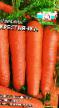 Porkkana lajit Krestyanka kuva ja ominaisuudet