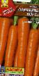 Karotten Sorten Oranzhevyjj korol Foto und Merkmale