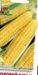 Corn varieties Zolotojj Batam  Photo and characteristics