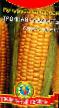 Corn varieties Trojjnaya sladost Photo and characteristics