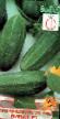 Cucumbers  Vivat F1 grade Photo