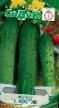 Cucumbers  Kostik F1 grade Photo