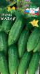 Cucumbers  Mazajj F1 grade Photo