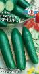 Cucumbers  Sladkaya Zhenshhina F1 grade Photo