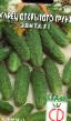 Cucumbers varieties Ehvita F1 Photo and characteristics