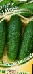 Cucumbers varieties Nerl F1 Photo and characteristics