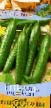 Cucumbers varieties Persiyan F1  Photo and characteristics