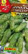 Cucumbers  Kornishon-zakuson F1 grade Photo