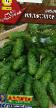 Cucumbers varieties Na zasolku F1 Photo and characteristics