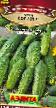 Cucumbers varieties Solist F1 Photo and characteristics