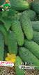 Cucumbers varieties Malyshok Photo and characteristics